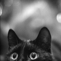 Александра